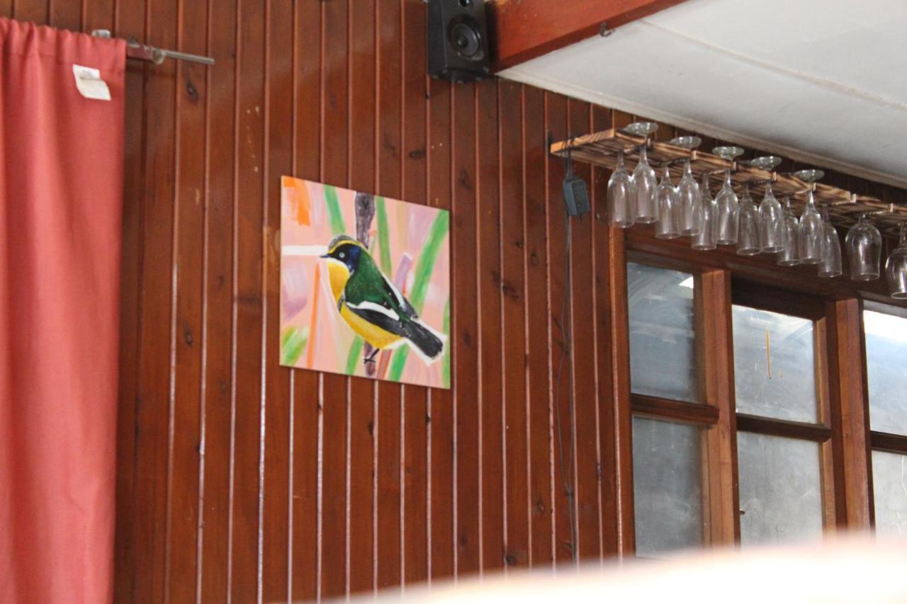 Casa Piwke Bed and Breakfast Coyhaique Εξωτερικό φωτογραφία