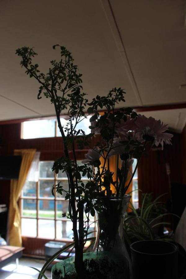 Casa Piwke Bed and Breakfast Coyhaique Εξωτερικό φωτογραφία