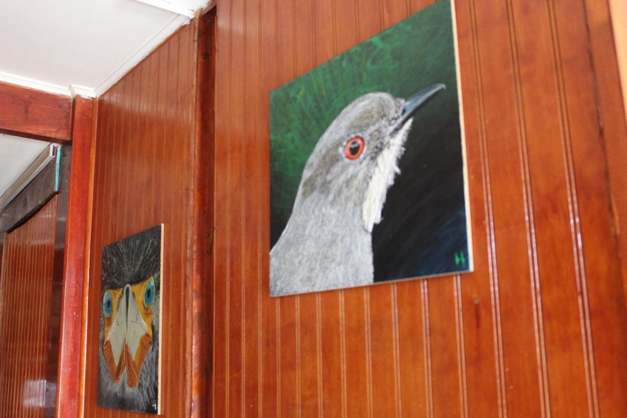 Casa Piwke Bed and Breakfast Coyhaique Εξωτερικό φωτογραφία